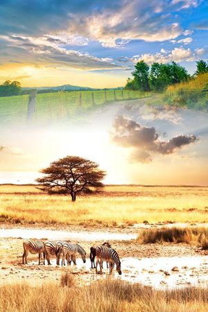 照片印花华亿平台图片