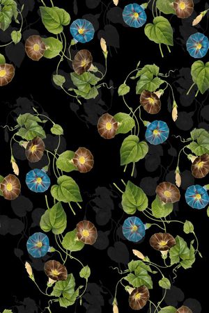 牵牛花印花华亿平台图片