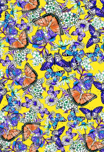 353982-蝴蝶感应1