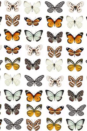 ♥红桃A〖豹纹纹理〗印花华亿平台图片