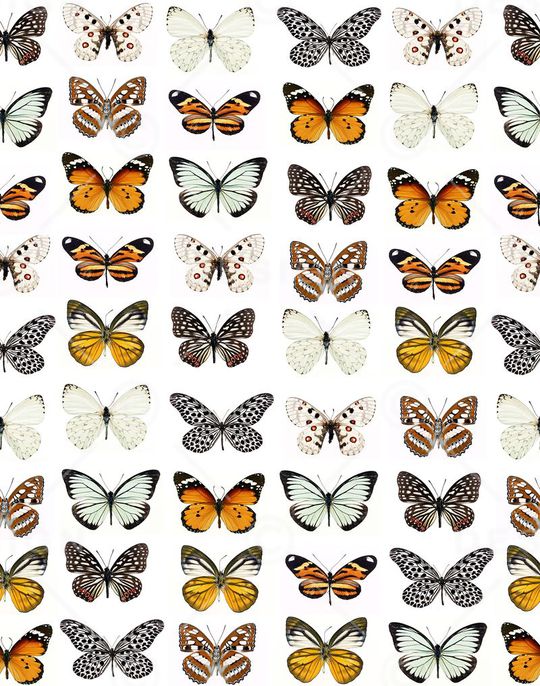 ♥红桃A〖豹纹纹理〗印花华亿平台图片