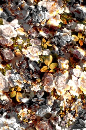 数码华亿平台印花华亿平台图片