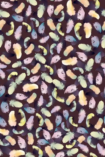 358306-漂亮羽毛Yp01051G1