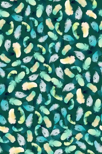 358307-漂亮羽毛Yp01051G1