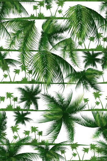 358625-夏日阳光椰树Yp0162