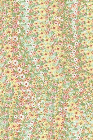 女装印花华亿平台图片