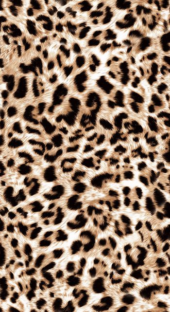 358686-超写实逼真毛质豹纹柔顺野性男女装箱