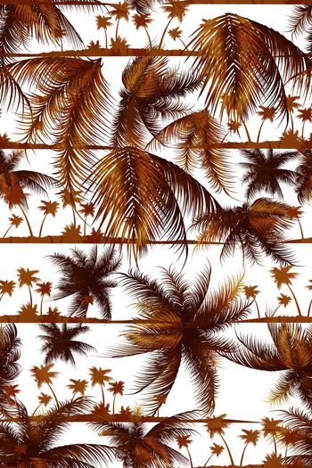 358714-夏日阳光椰树Yp01621