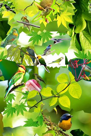 ♥红桃A〖动物世界〗印花华亿平台图片