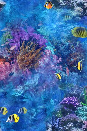 ♥红桃A〖动物世界〗印花华亿平台图片