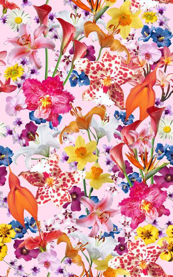 359701-大花朵自然花卉碎花分层222-2