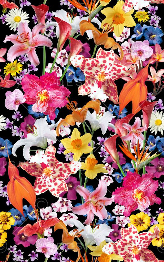 M-热带风/Tropical印花华亿平台图片