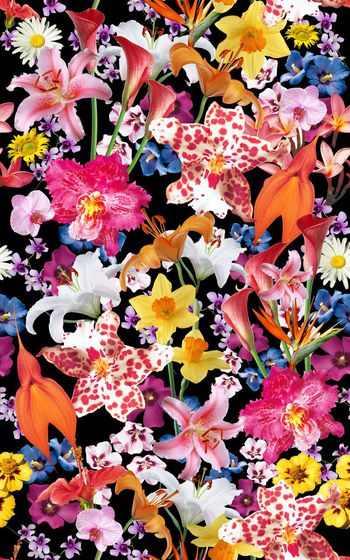 359705-大花朵自然花卉碎花分层222