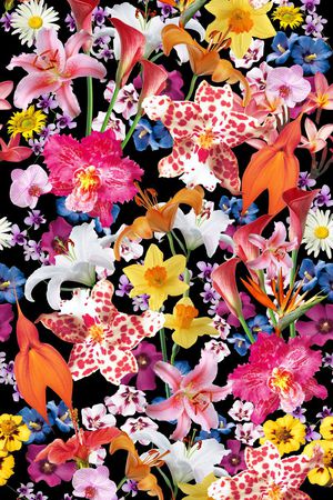 M-热带风/Tropical印花华亿平台图片