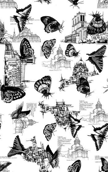 360588-ljp2015227-11