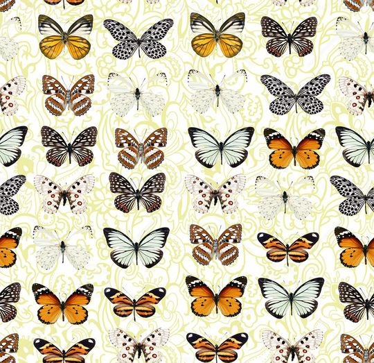 蝴蝶印花华亿平台图片