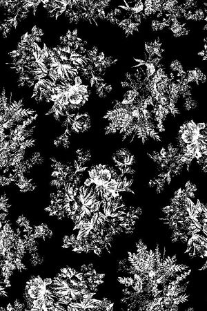 泳衣/内衣/服饰 面料华亿平台印花华亿平台图片