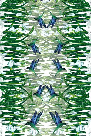 花鸟花卉印花华亿平台图片