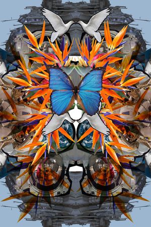 潮流印花华亿平台图片