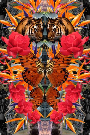 天空印花华亿平台图片