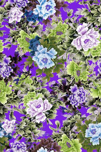 362448-WT401传统净色底牡丹花卉水墨水