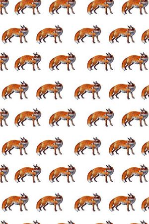 ♥红桃A〖动物世界〗印花华亿平台图片