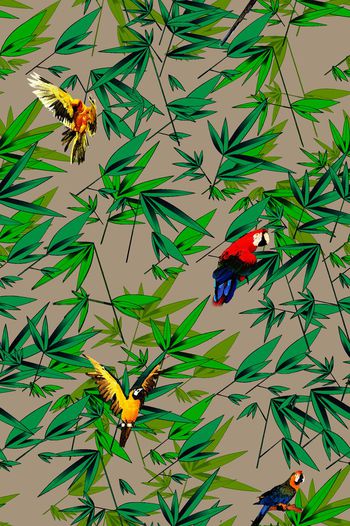 362524-鹦鹉竹叶c