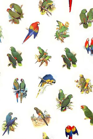 ♥红桃A〖复古时代〗印花华亿平台图片