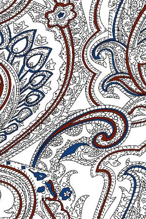 佩斯里印花华亿平台图片