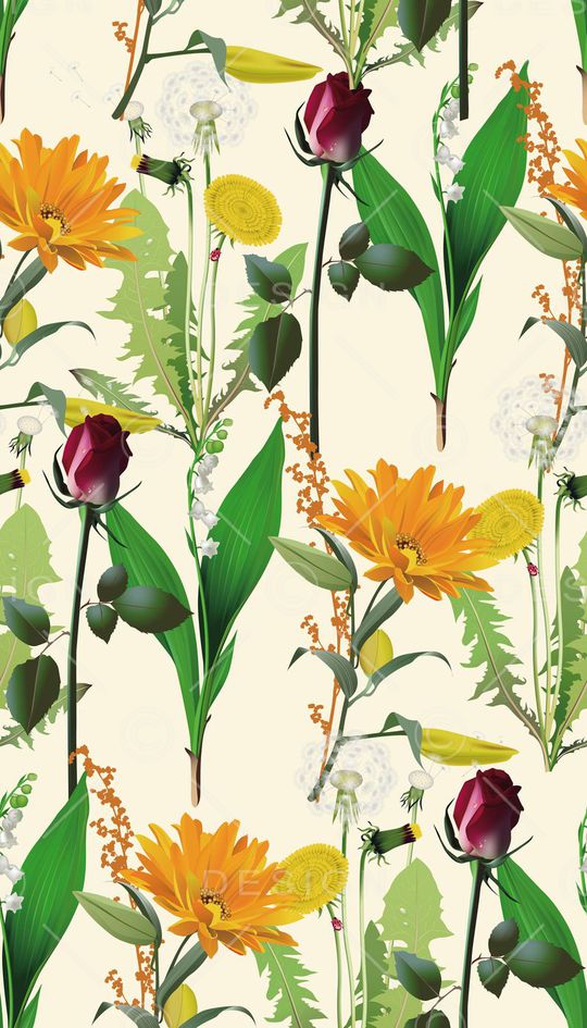 男女泳装印花华亿平台图片