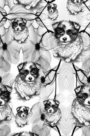 女装印花华亿平台图片