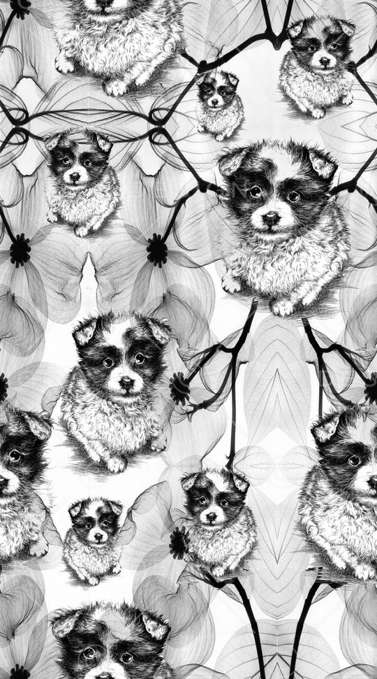 女装印花华亿平台图片