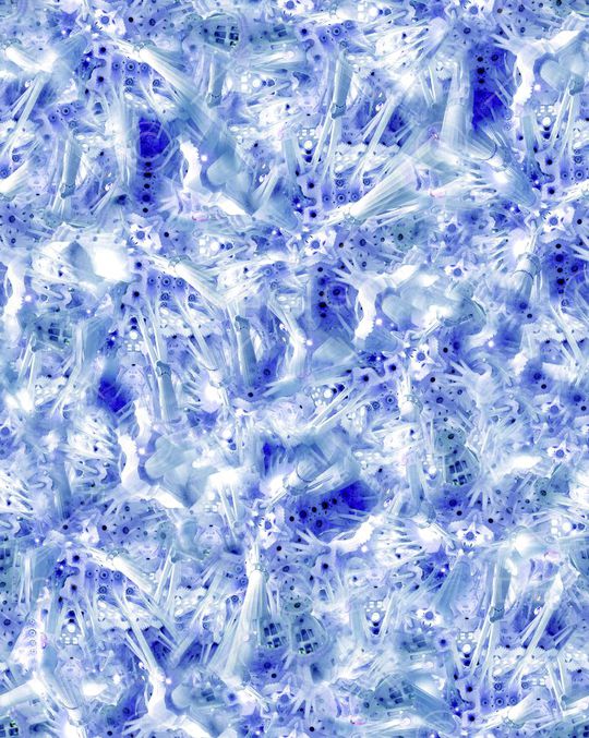 纹理印花华亿平台图片