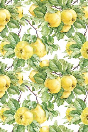 水果印花华亿平台图片