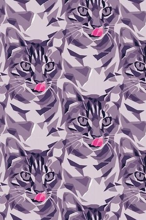 猫咪印花华亿平台图片