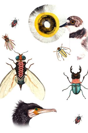 印花华亿平台图片