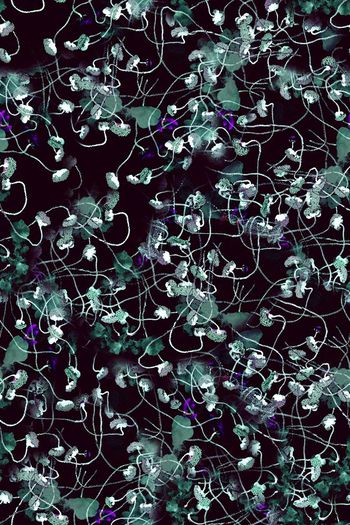 364272-WT410抽象水墨花卉荷花点线几何