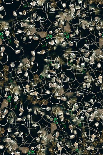 364273-WT410抽象水墨花卉荷花点线几何