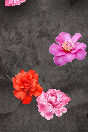 印花华亿平台图片