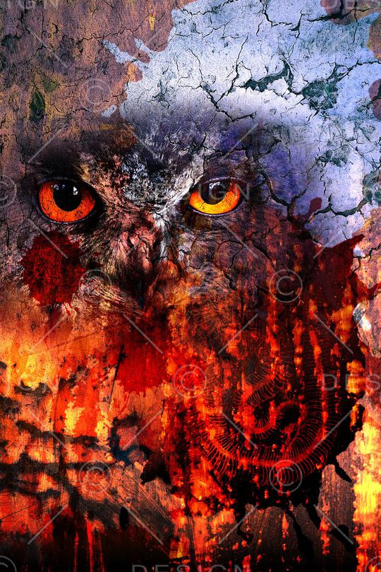 野兽印花华亿平台图片