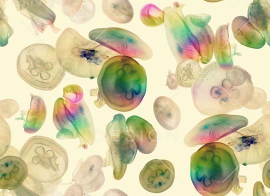 四方两方连续印花华亿平台图片