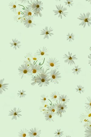 ♥红桃A〖花鸟天堂〗印花华亿平台图片