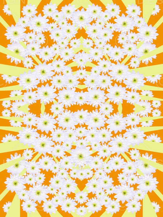 ♥红桃A〖花鸟天堂〗印花华亿平台图片