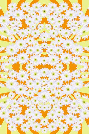 ♥红桃A〖花鸟天堂〗印花华亿平台图片