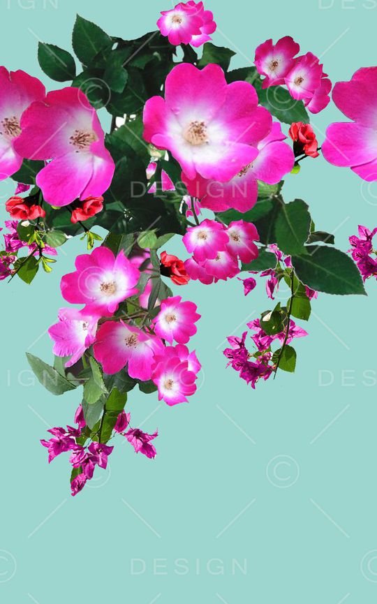 印花华亿平台图片