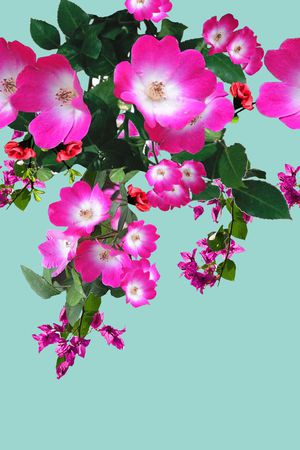 印花华亿平台图片