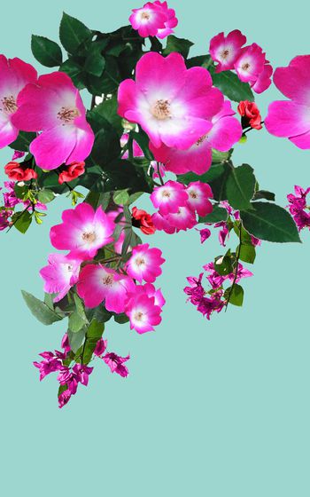 印花华亿平台图片