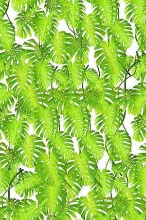 学院学生1清醒风格印花华亿平台图片