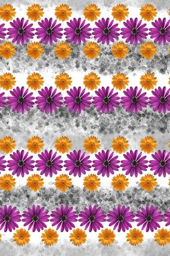 365557-田园风雏菊花海手绘底纹文艺范女装花