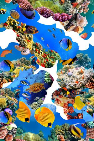 海底世界印花华亿平台图片